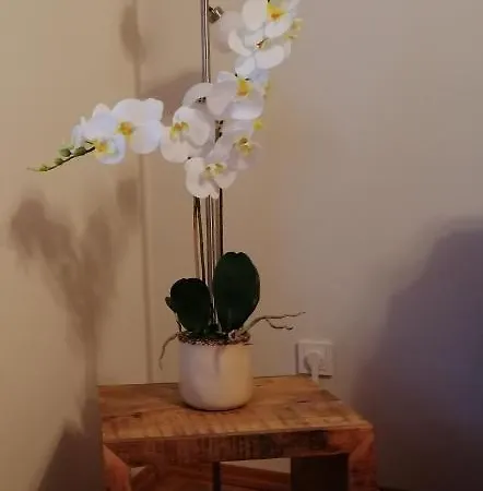 Апартаменты Gina