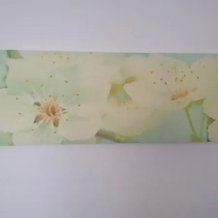 Gina * 因斯布鲁克