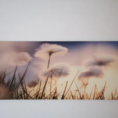 شقة Gina إنسبروك