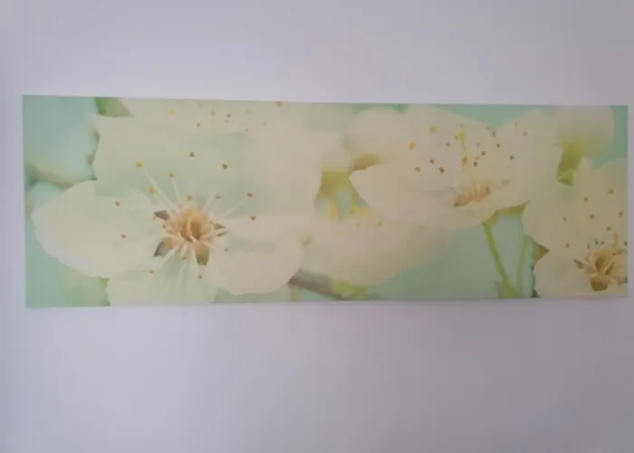 Gina * אינסברוק